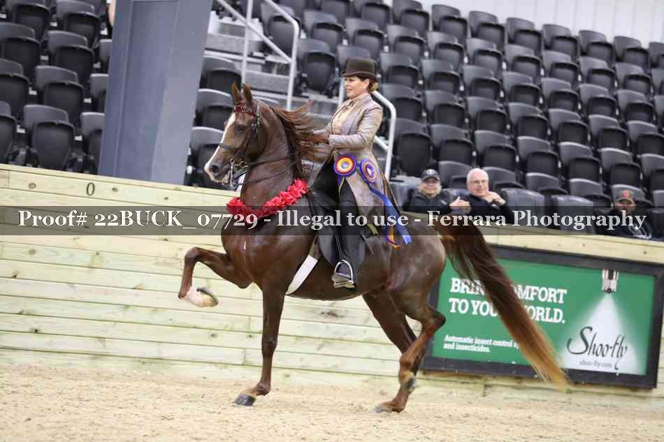 Proof 22BUCK_07729