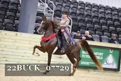 22BUCK_07729 proof