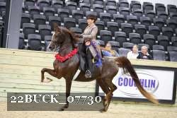 22BUCK_07730 proof