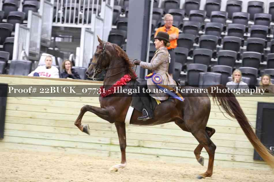 Proof 22BUCK_07731