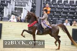 22BUCK_07731 proof