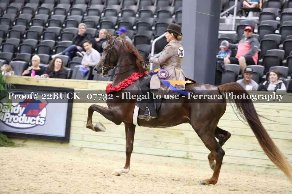 Proof 22BUCK_07732