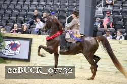 22BUCK_07732 proof