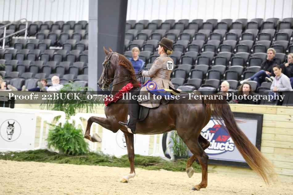 Proof 22BUCK_07733
