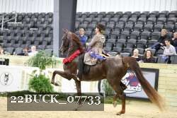 22BUCK_07733 proof