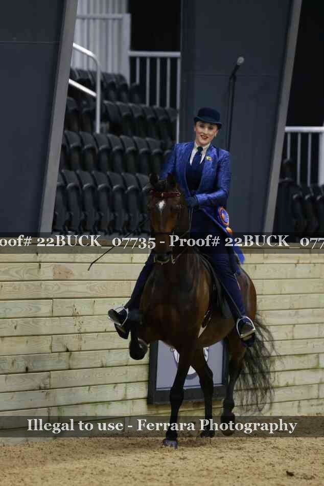 Proof 22BUCK_07735