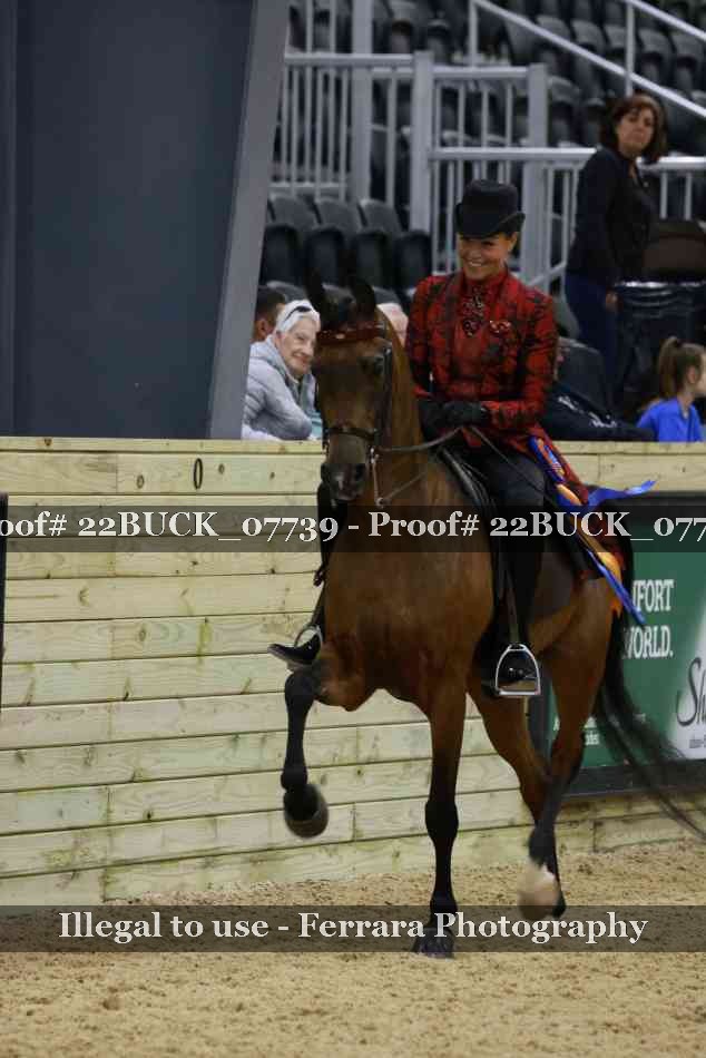 Proof 22BUCK_07739