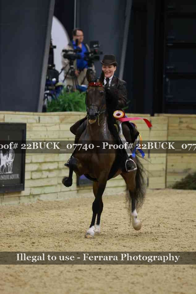Proof 22BUCK_07740
