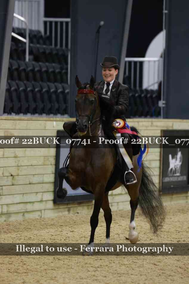 Proof 22BUCK_07741