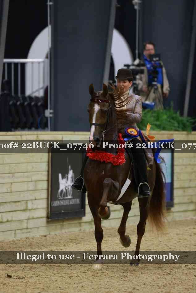 Proof 22BUCK_07746