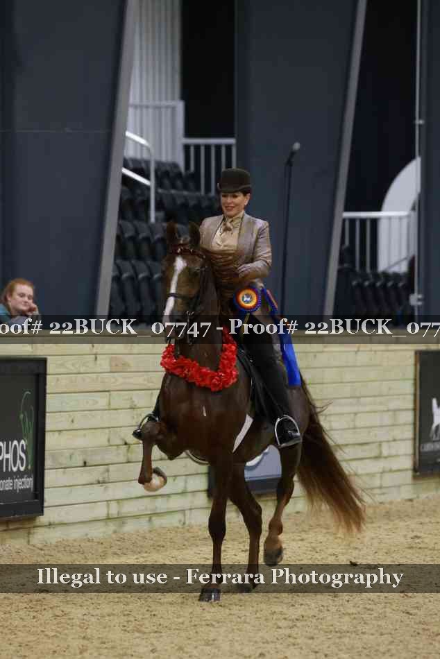 Proof 22BUCK_07747