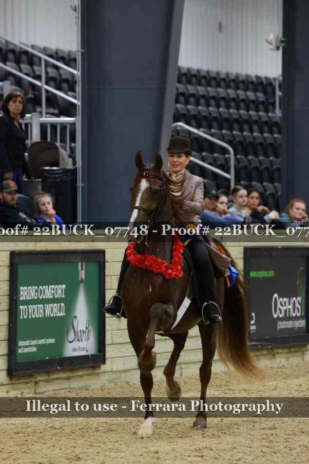 Proof 22BUCK_07748