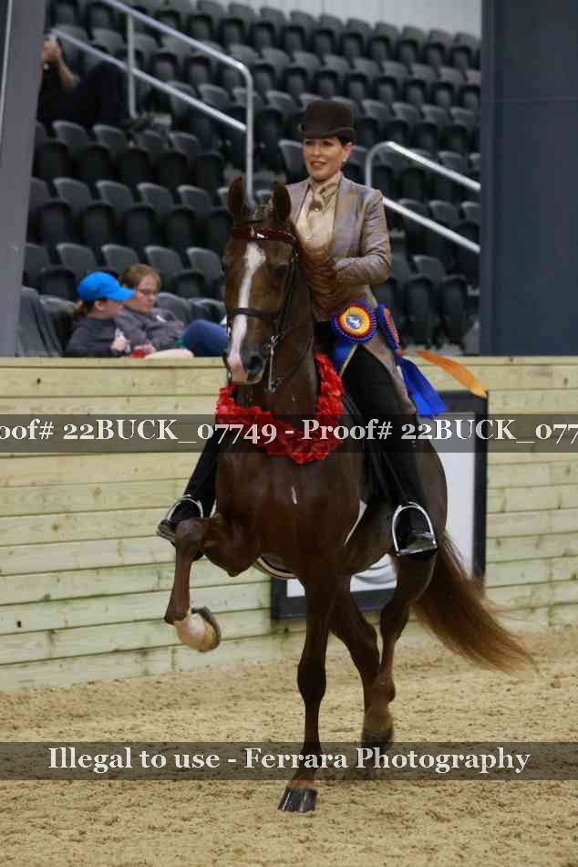 Proof 22BUCK_07749