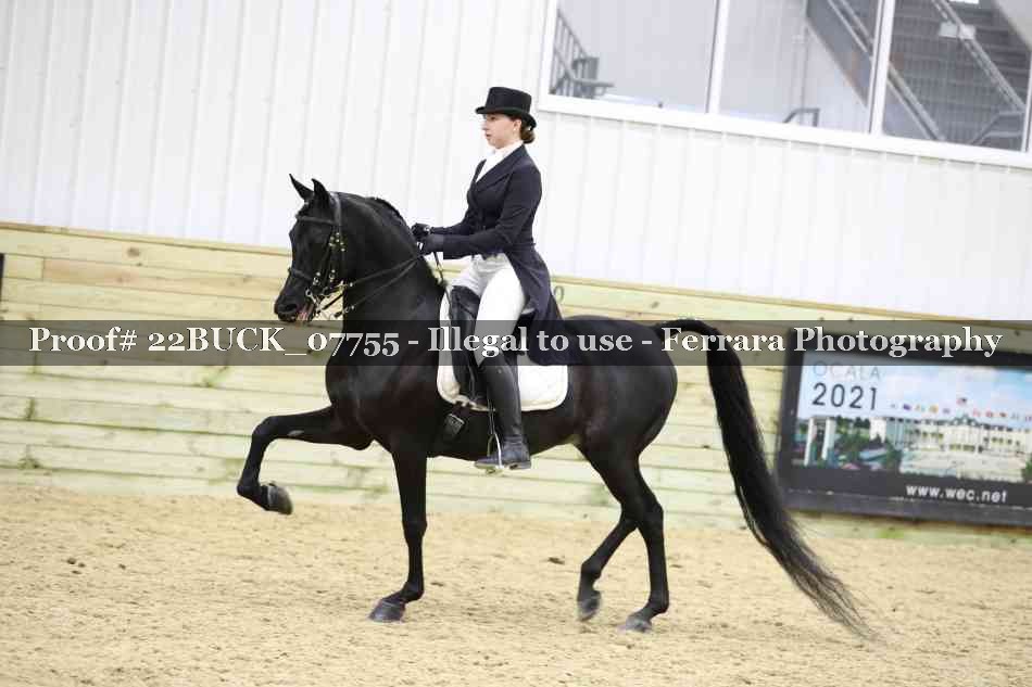 Proof 22BUCK_07755