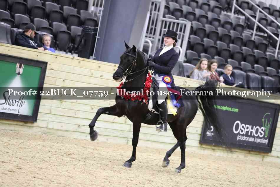 Proof 22BUCK_07759