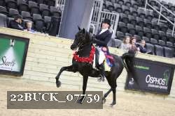 22BUCK_07759 proof