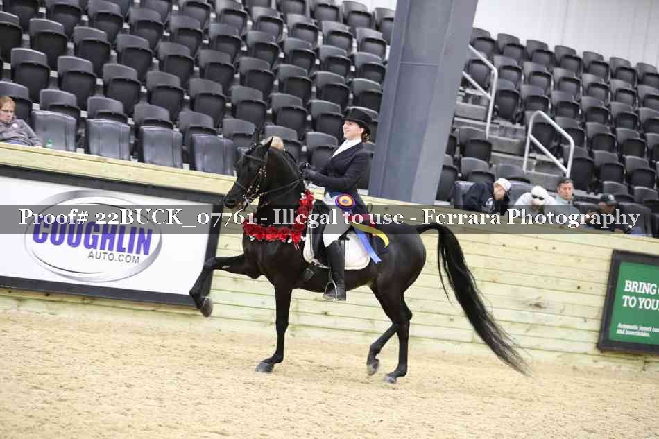 Proof 22BUCK_07761