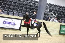 22BUCK_07761 proof