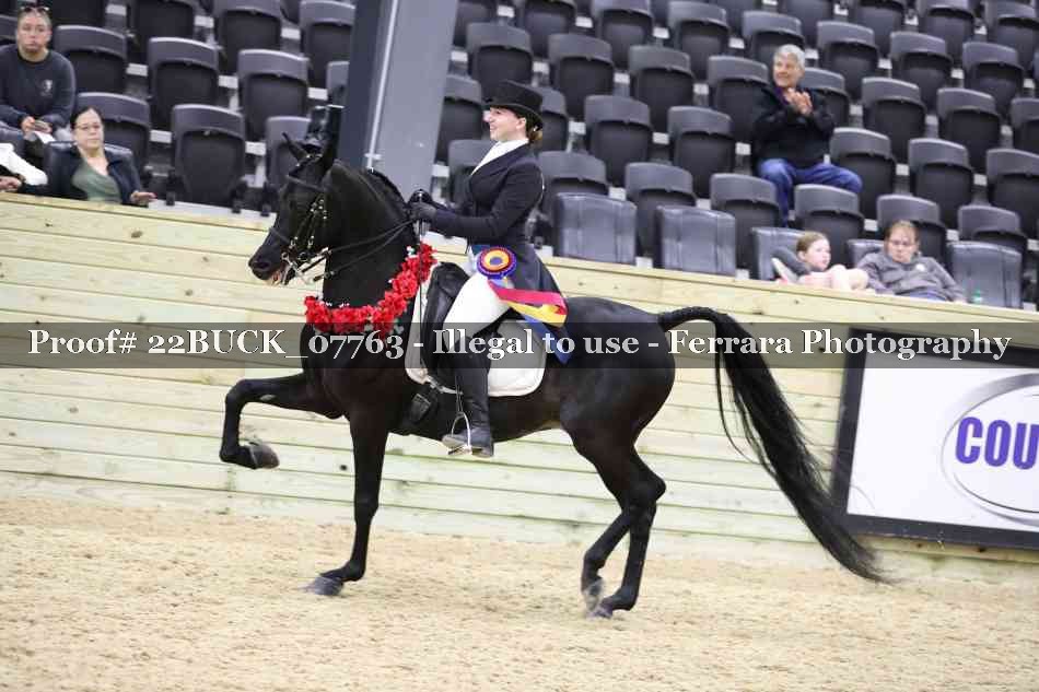 Proof 22BUCK_07763