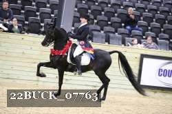 22BUCK_07763 proof