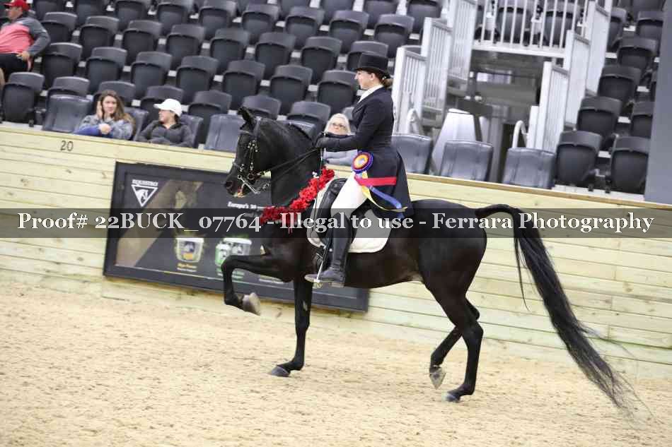 Proof 22BUCK_07764