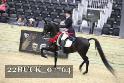 22BUCK_07764 proof