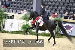 22BUCK_07766 proof