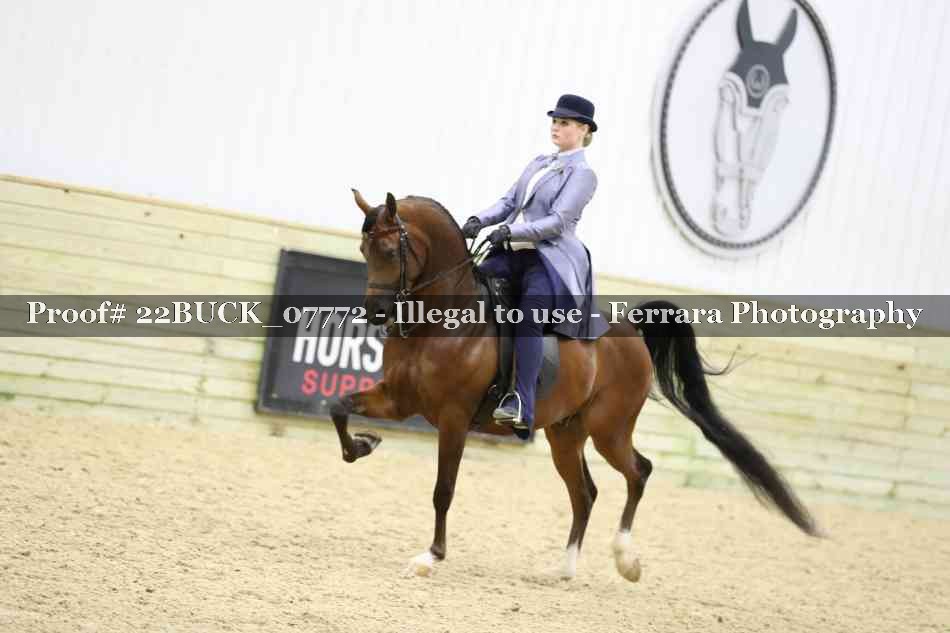 Proof 22BUCK_07772