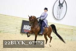 22BUCK_07772 proof
