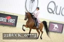 22BUCK_07773 proof