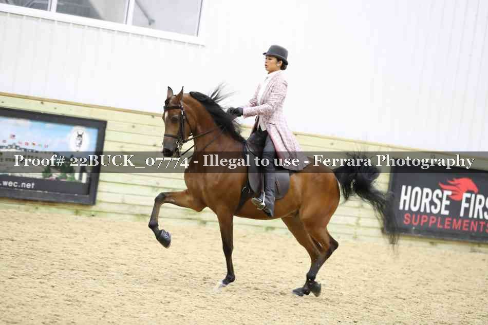 Proof 22BUCK_07774