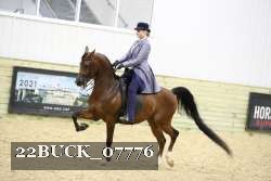 22BUCK_07776 proof