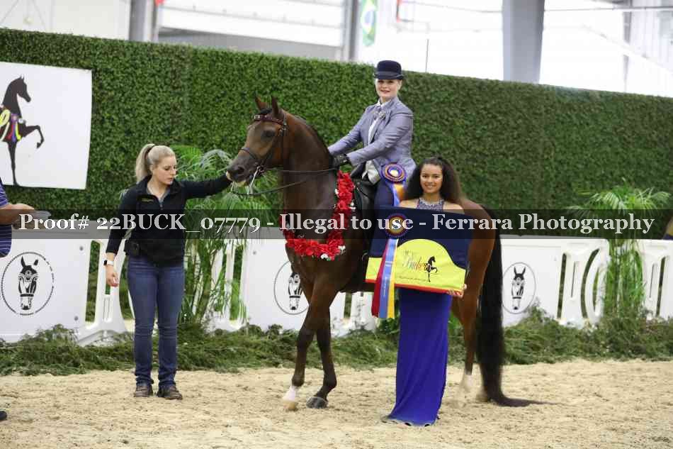 Proof 22BUCK_07779