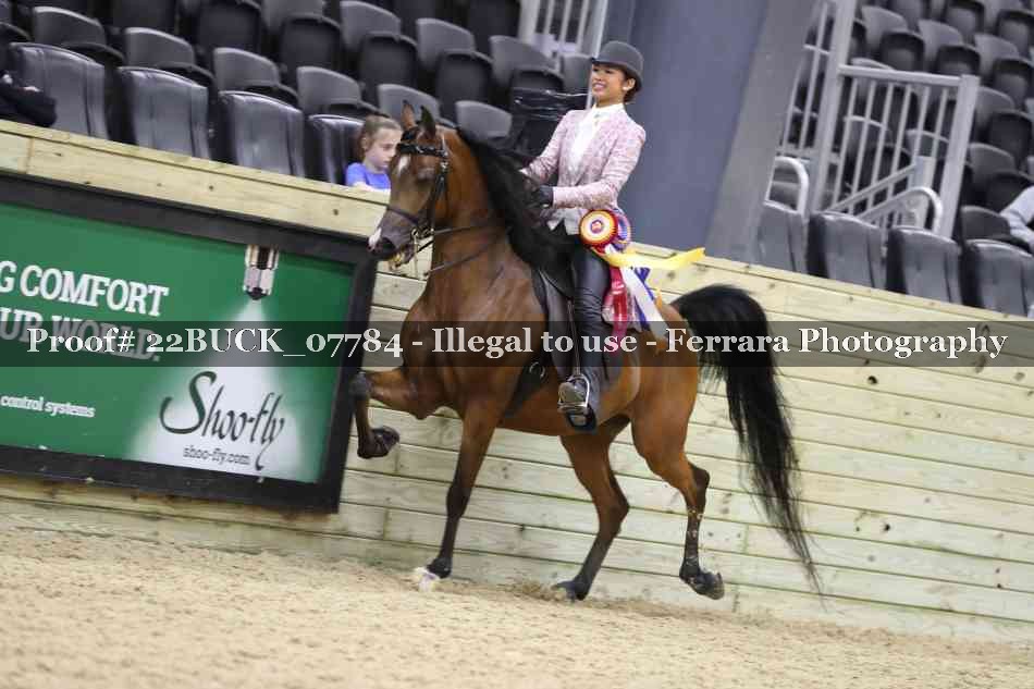 Proof 22BUCK_07784