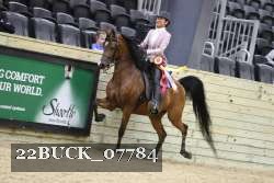 22BUCK_07784 proof