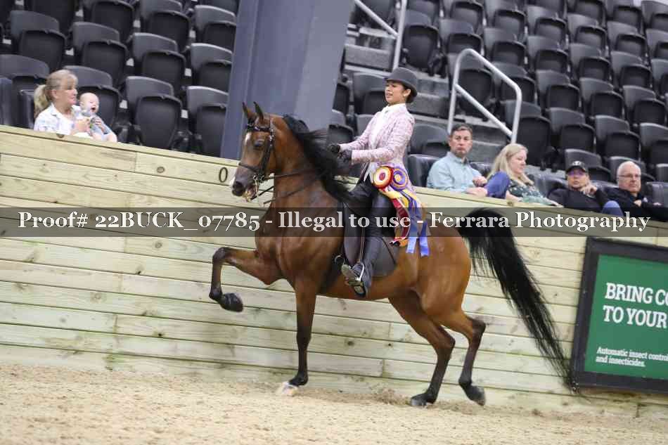 Proof 22BUCK_07785