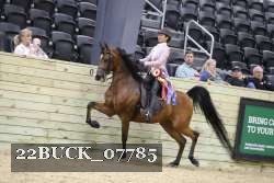 22BUCK_07785 proof