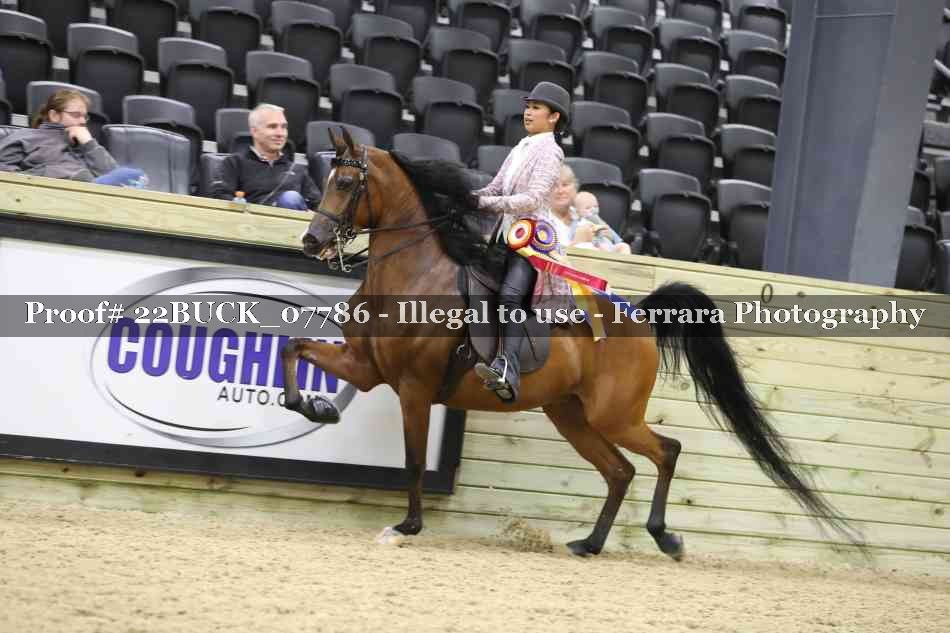 Proof 22BUCK_07786