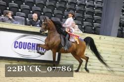 22BUCK_07786 proof