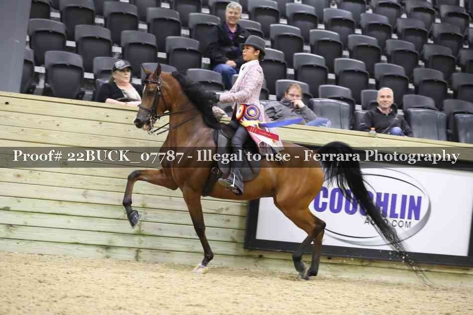 Proof 22BUCK_07787