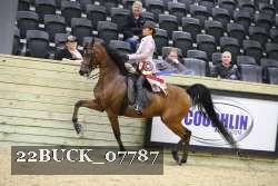 22BUCK_07787 proof