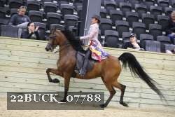 22BUCK_07788 proof