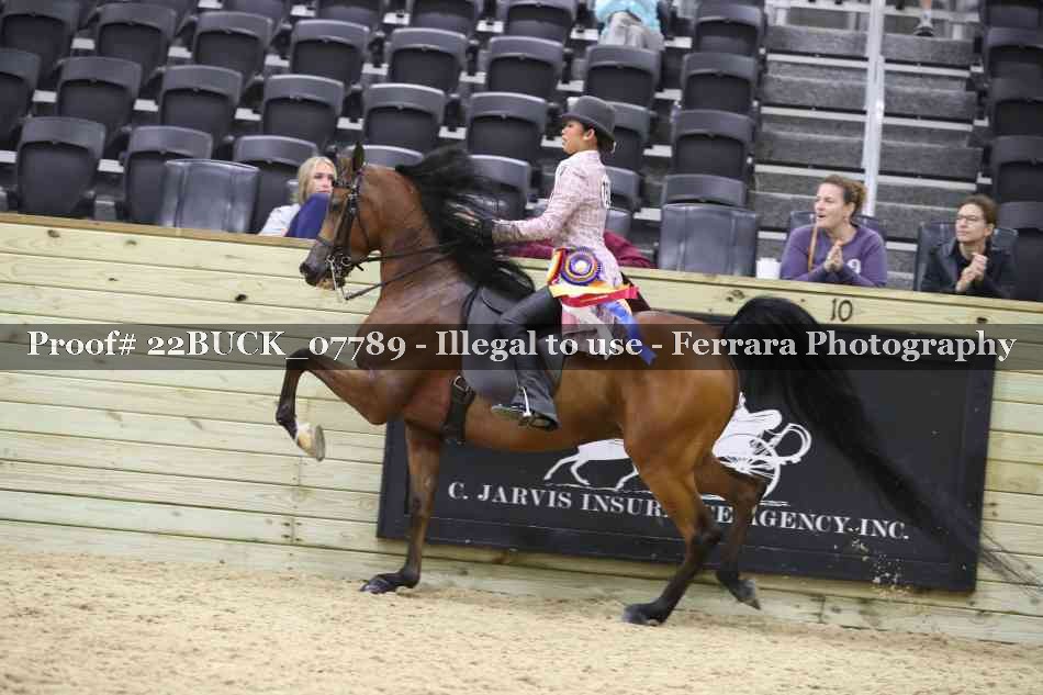 Proof 22BUCK_07789
