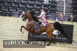 22BUCK_07789 proof
