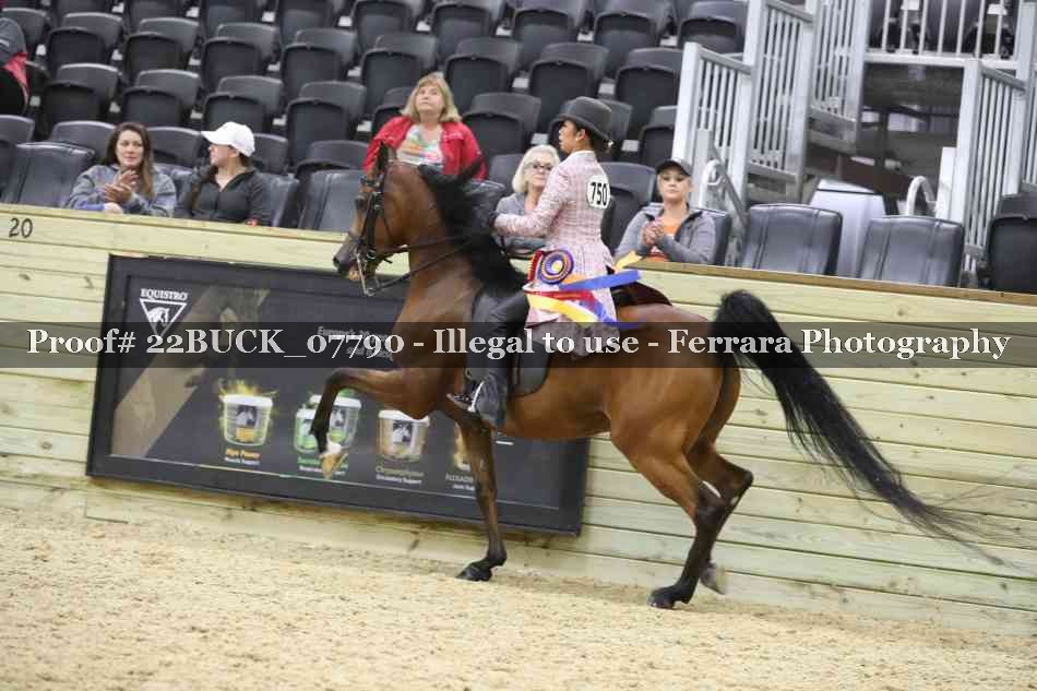 Proof 22BUCK_07790