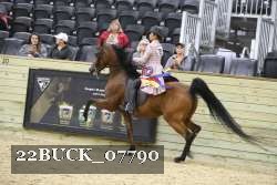 22BUCK_07790 proof