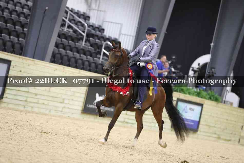 Proof 22BUCK_07791