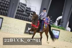 22BUCK_07791 proof