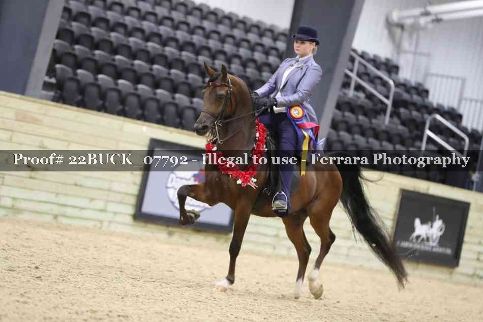 Proof 22BUCK_07792