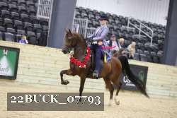 22BUCK_07793 proof